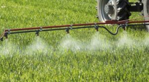 Доступные удобрения вносимые по листу