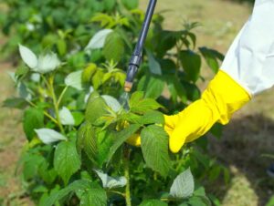 Доступные удобрения вносимые по листу