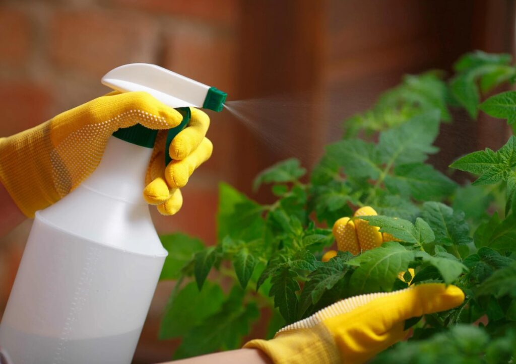 Доступные удобрения вносимые по листу - как повысить урожай и укрепить растения