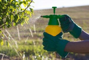 Эффективная внекорневая подкормка растений для здорового роста 2 Эффективная внекорневая подкормка растений для здорового роста