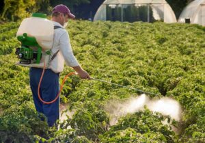 Удобрения вносимые по листу растений