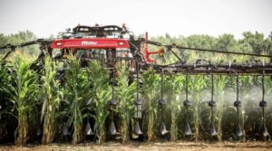 Удобрения вносимые по листу растений