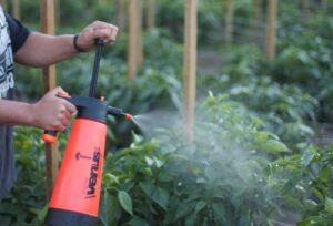 Удобрения вносимые по листу растений