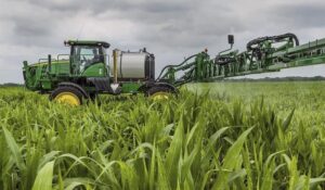 Внекорневая подкормка растений