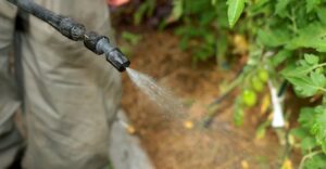 Внекорневая подкормка растений