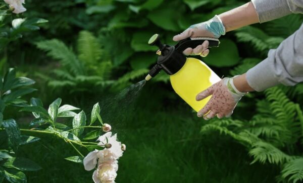 Внекорневая подкормка растений