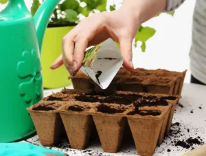 Как использовать смеси для овощных культур Как использовать смеси для овощных культур