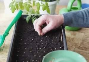 Как использовать смеси на разных стадиях роста растений