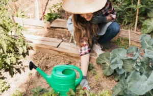 Как использовать суперфосфат (Ca(H₂PO₄)₂) в саду и огороде Как использовать суперфосфат (Ca(H₂PO₄)₂) в саду и огороде
