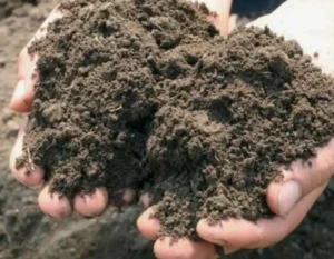 Как калийная селитра (KNO₃) влияет на кислотность почвы и какие меры следует предпринять для оптимизации pH