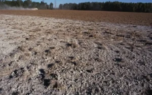 Как калийная селитра (KNO₃) влияет на кислотность почвы и какие меры следует предпринять для оптимизации pH