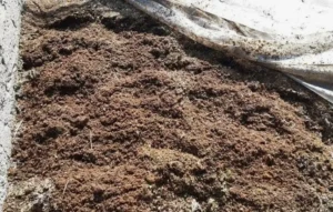 Птичий навоз - важные рекомендации по вносу в почву для максимальной эффективности