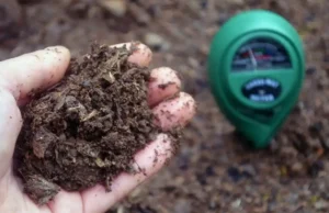 Разбор влияния калийной селитры на pH почвы и как избежать нежелательных последствий чрезмерного повышения кислотности